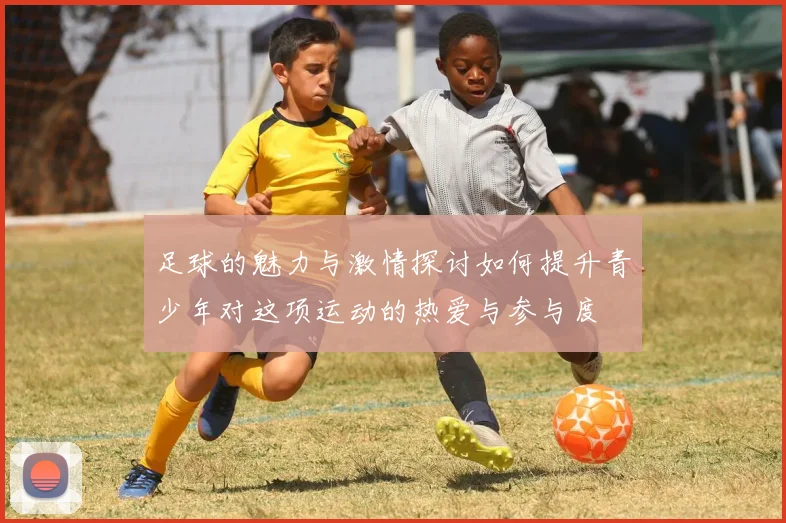 足球的魅力与激情探讨如何提升青少年对这项运动的热爱与参与度