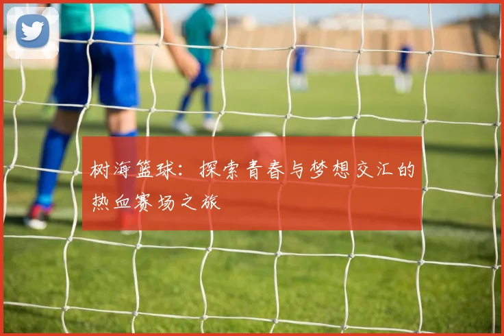 树海篮球：探索青春与梦想交汇的热血赛场之旅