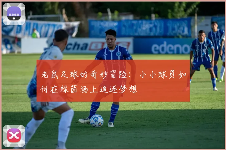 老鼠足球的奇妙冒险：小小球员如何在绿茵场上追逐梦想