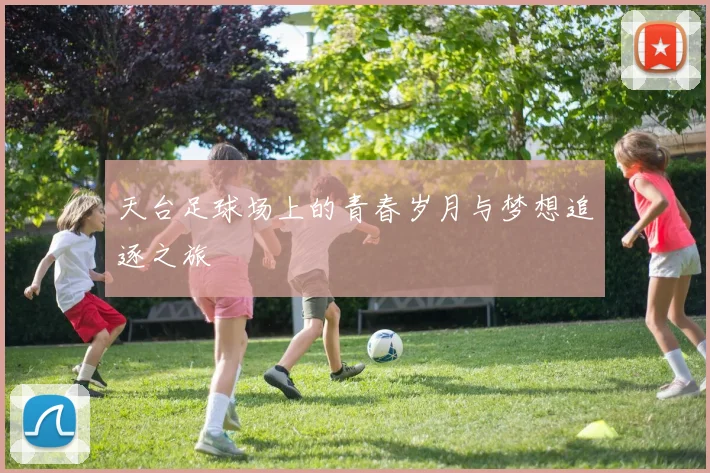 天台足球场上的青春岁月与梦想追逐之旅