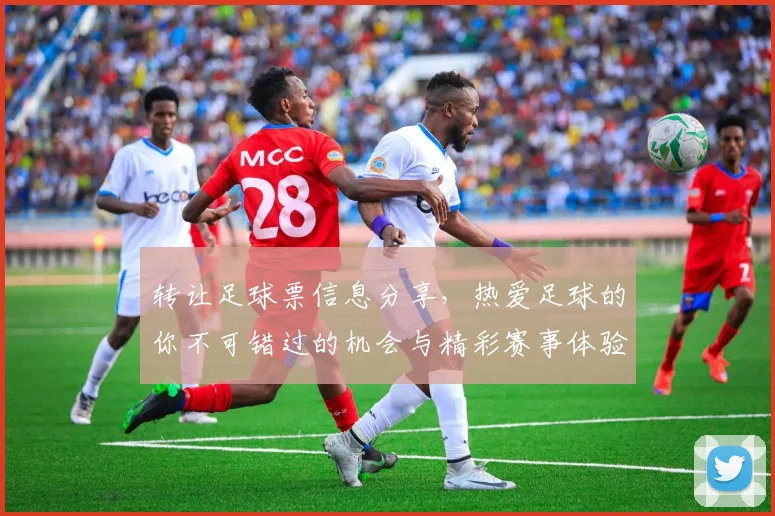 转让足球票信息分享，热爱足球的你不可错过的机会与精彩赛事体验