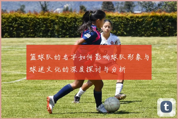 篮球队的名字如何影响球队形象与球迷文化的深度探讨与分析